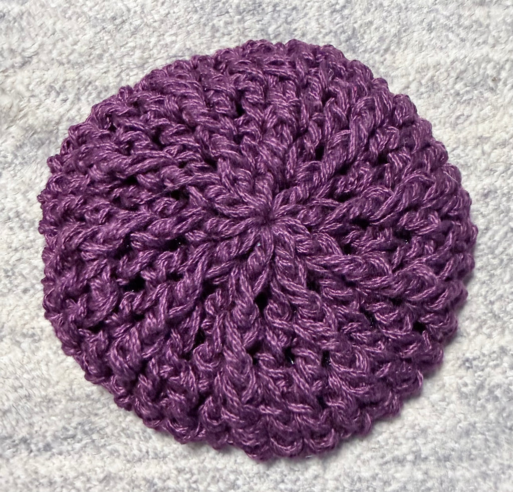 Kitchen Dish Scrubber