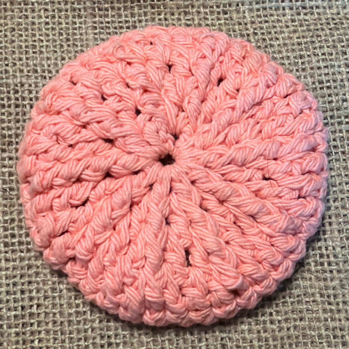 Kitchen Dish Scubber