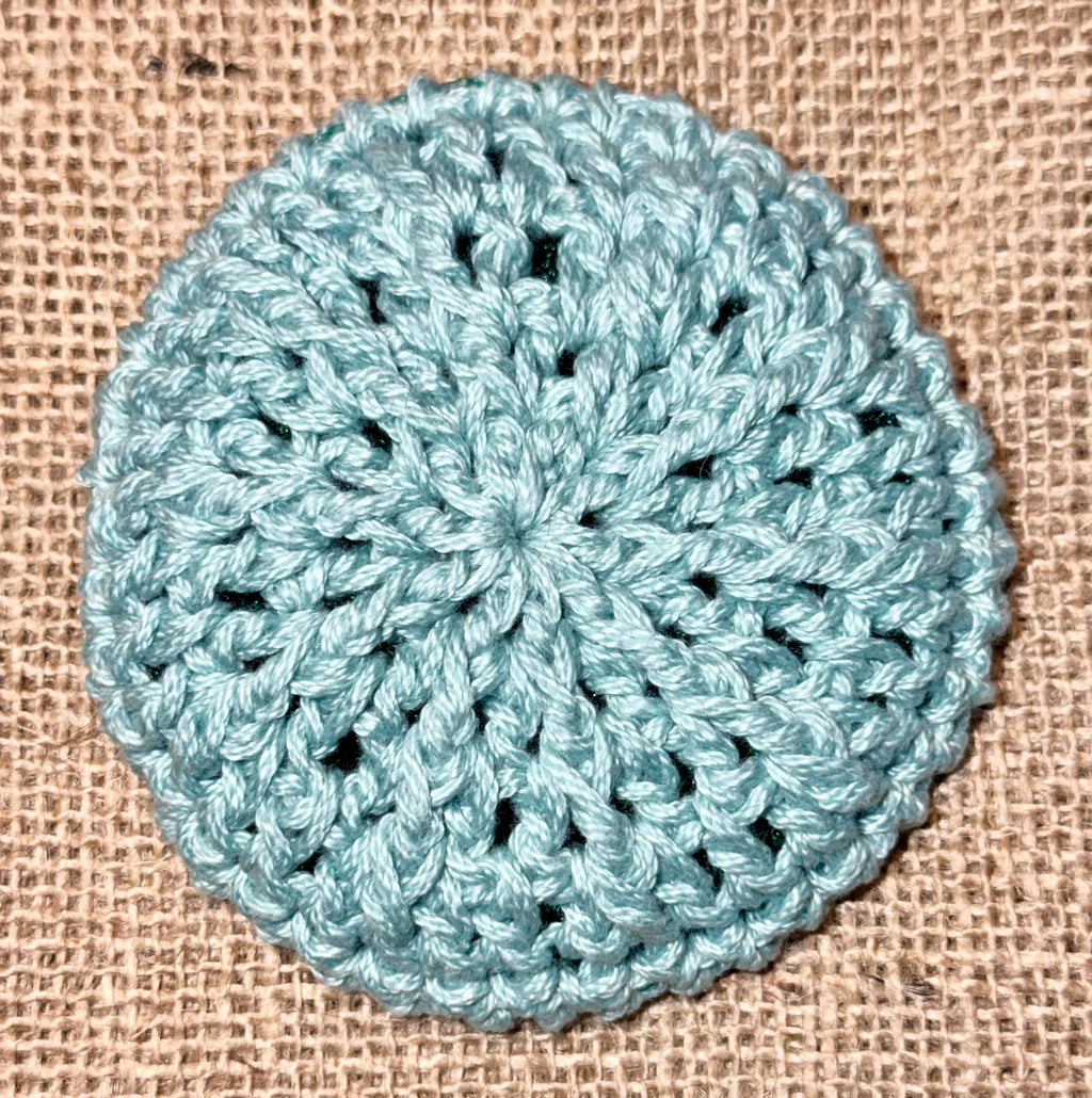 Kitchen Dish Scrubber