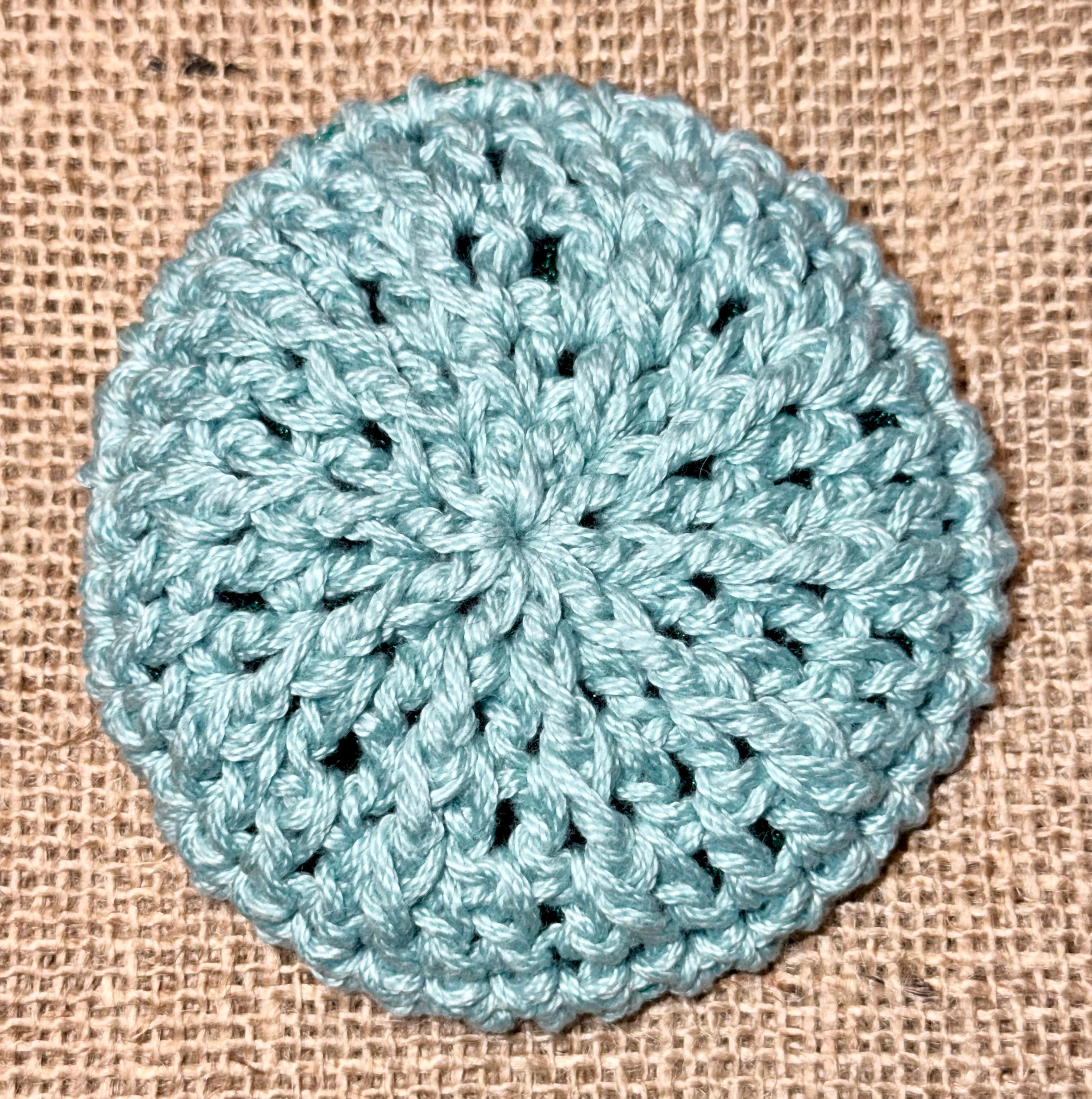 Kitchen Dish Scrubber