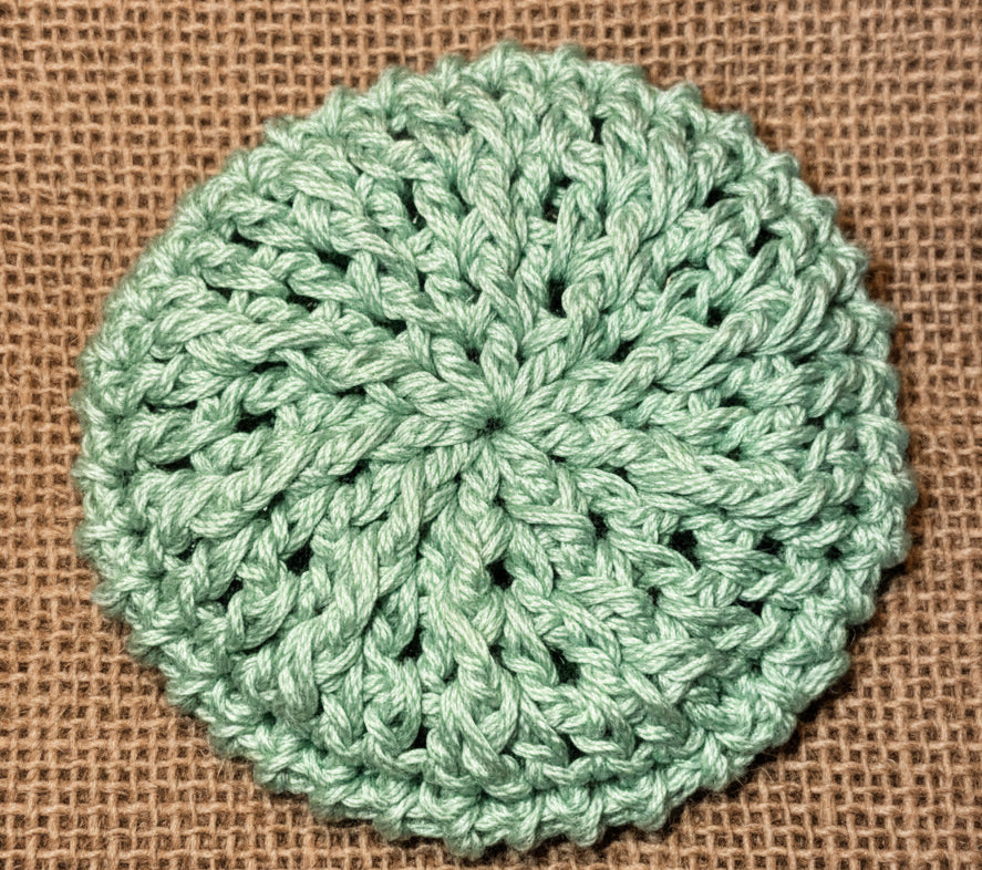 Kitchen Dish Scrubber