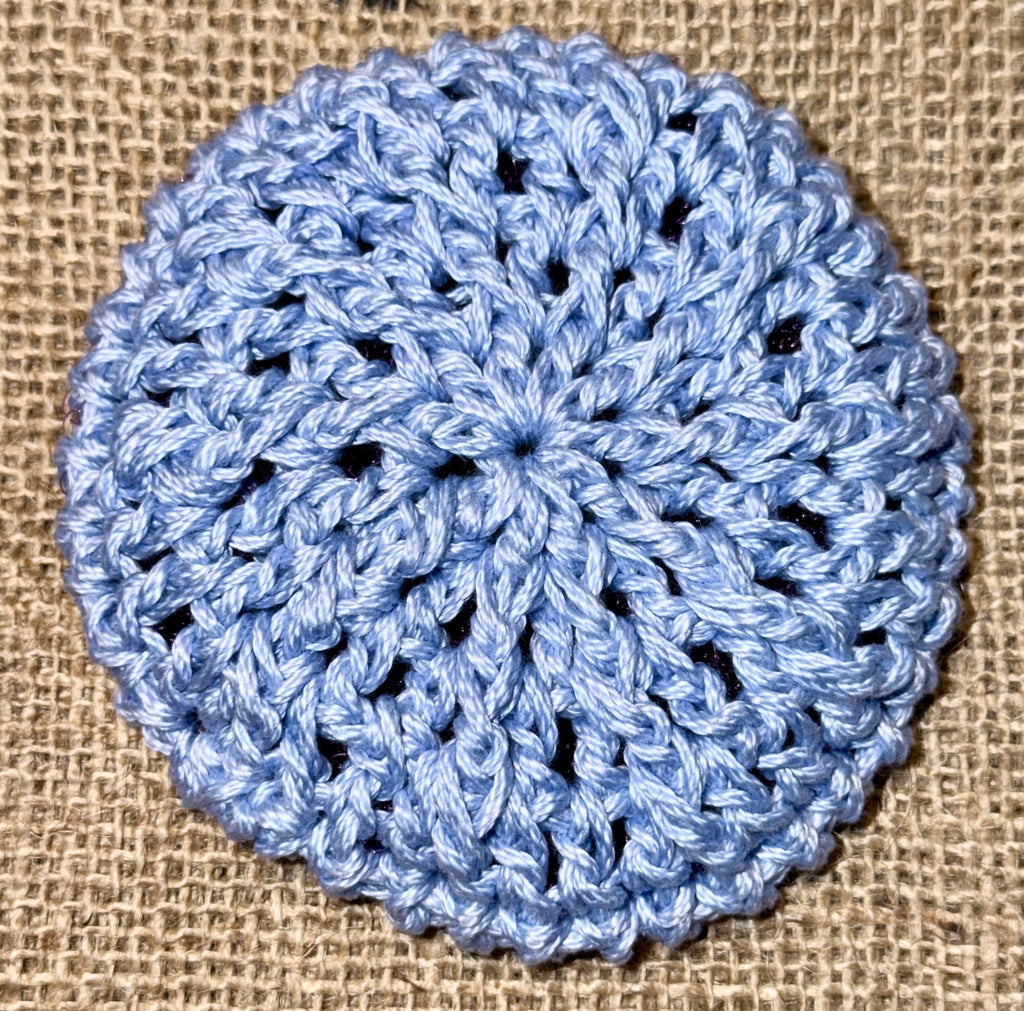 Kitchen Dish Scrubber