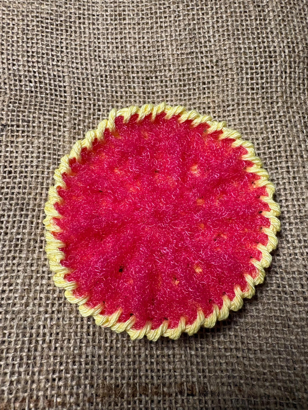 Kitchen Dish Scrubber